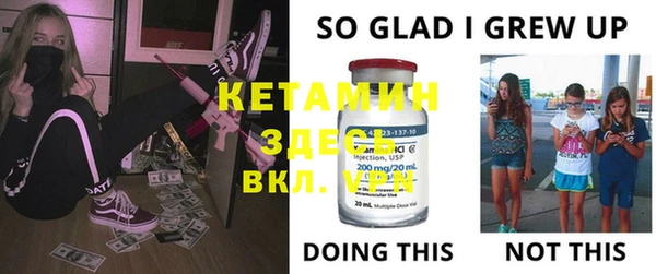 твердый Сясьстрой