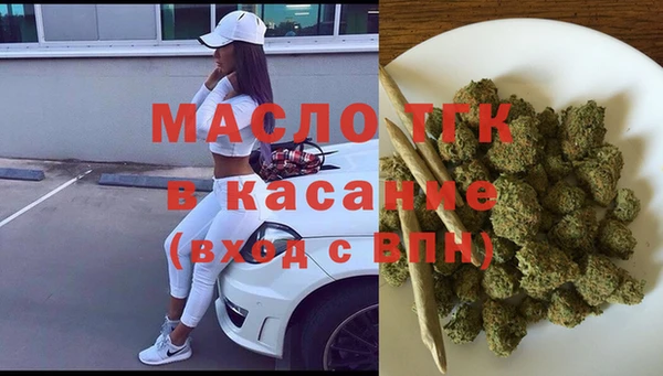 спиды Тавда