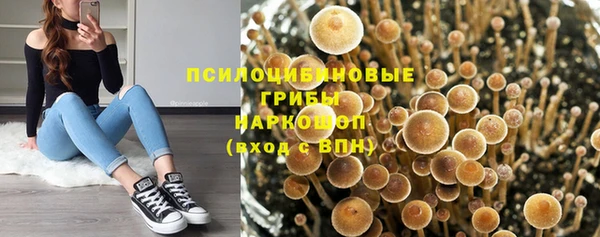 ПСИЛОЦИБИНОВЫЕ ГРИБЫ Белокуриха