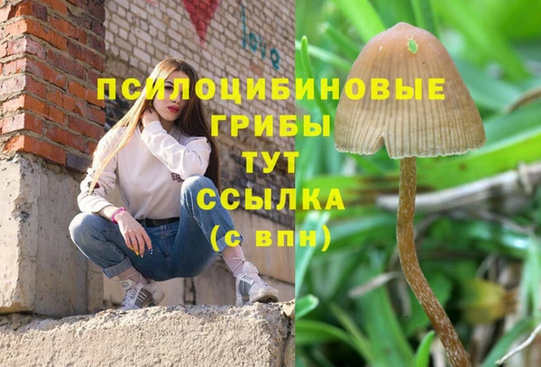 ПСИЛОЦИБИНОВЫЕ ГРИБЫ Белокуриха